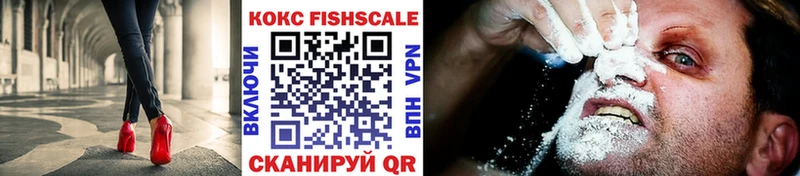 Кокаин FishScale  дарнет шоп  Вятские Поляны 