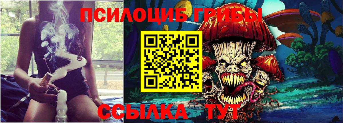 Псилоцибиновые грибы GOLDEN TEACHER  Вход с VPN  купить наркотики сайты  Псилоцибиновые грибы Magic Shrooms  Вятские Поляны 